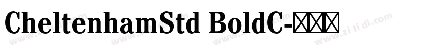CheltenhamStd BoldC字体转换